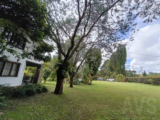 #5071 - Industrial para Venta en Guarne - ANT - 3