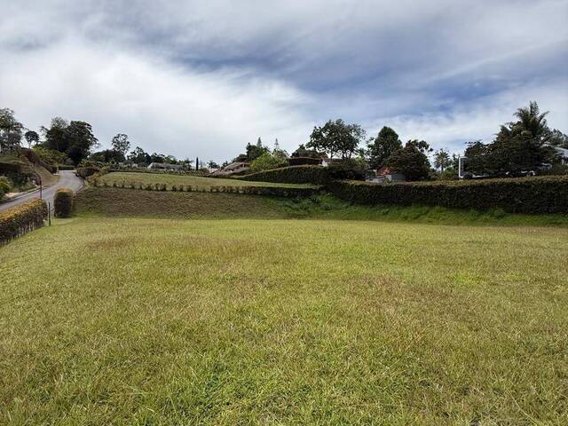 Terreno para Venta en Rionegro - 4
