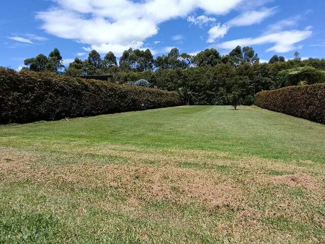 #5074 - Terreno para Venta en Rionegro - ANT - 3