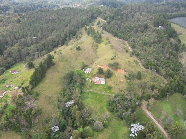 Terreno para Venta en Guarne - 5
