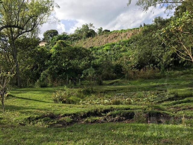 Venta en Vereda la Mosquita - Rionegro