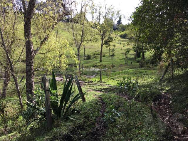#5094 - Terreno para Venta en Rionegro - ANT - 2