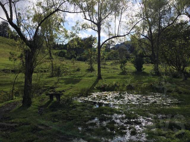 Terreno para Venta en Rionegro - 4