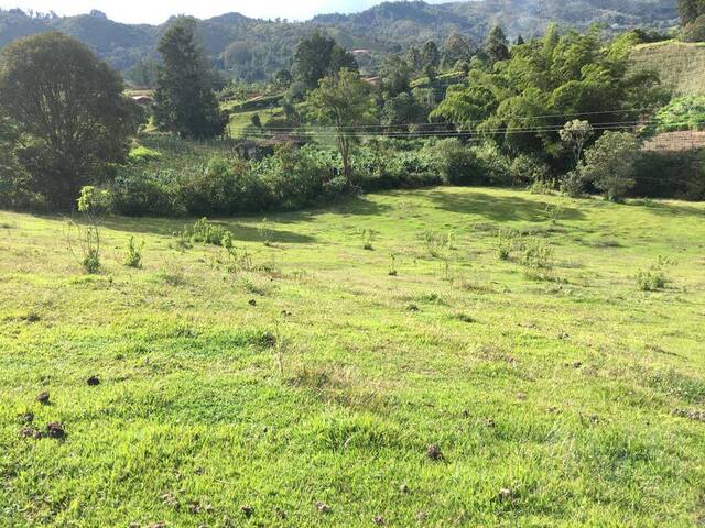 Terreno para Venta en Rionegro - 5