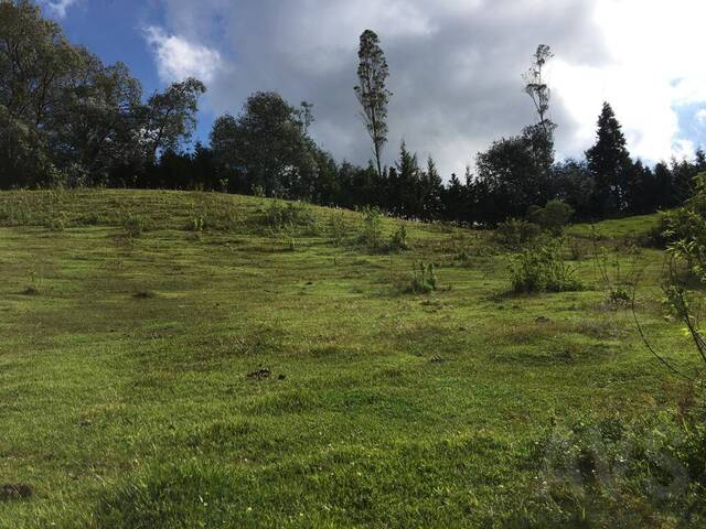 #5094 - Terreno para Venta en Rionegro - ANT - 3