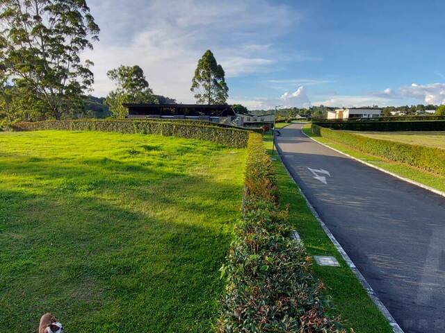 #5100 - Terreno para Venta en La Ceja - ANT - 1
