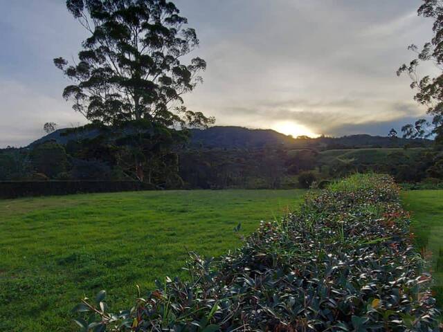 Terreno para Venta en La Ceja - 4