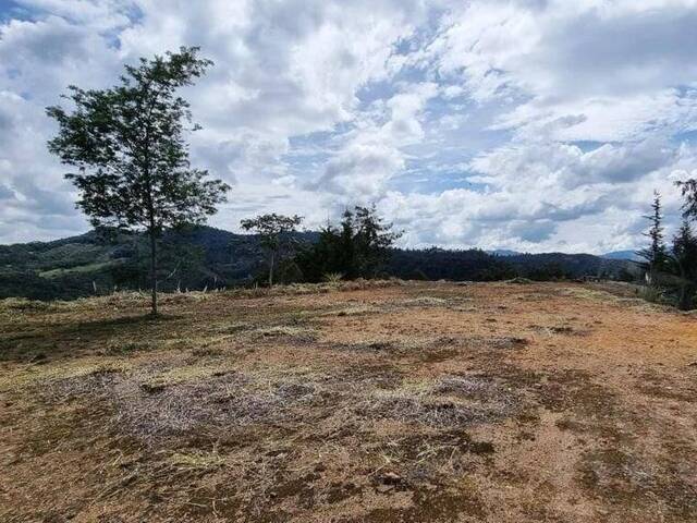 Terreno para Venta en Retiro - 5