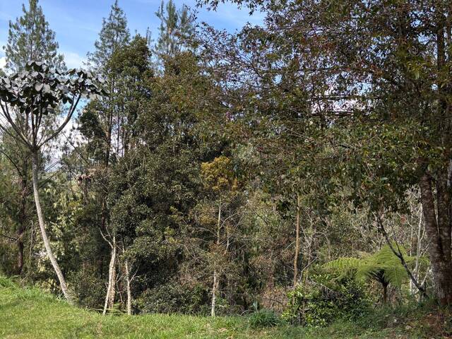 #5116 - Terreno para Venta en Retiro - ANT - 2