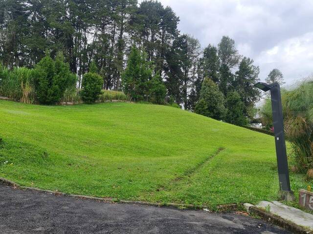 Terreno para Venta en Guarne - 5