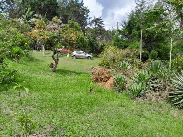 Finca para Venta en Guarne - 4