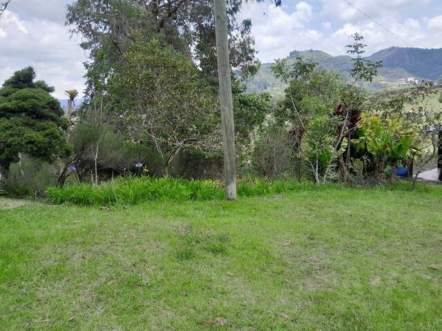 Finca para Venta en Guarne - 5