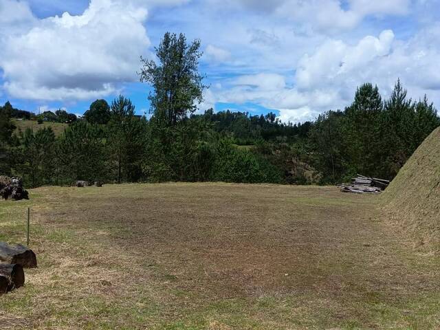 #5132 - Industrial para Venta en Retiro - ANT - 1