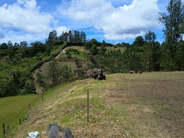 #5132 - Industrial para Venta en Retiro - ANT - 2