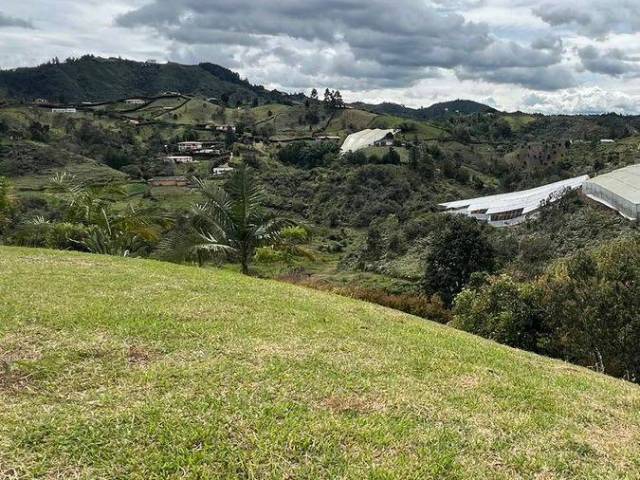Industrial para Venta en San Vicente - 5
