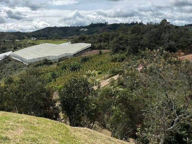 Industrial para Venta en San Vicente - 4