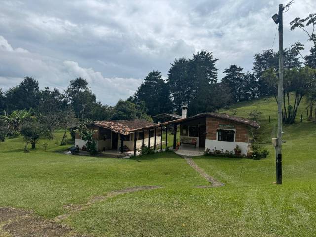 Venta en Vereda Yarumal - Rionegro