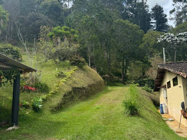 Finca para Venta en Rionegro - 4