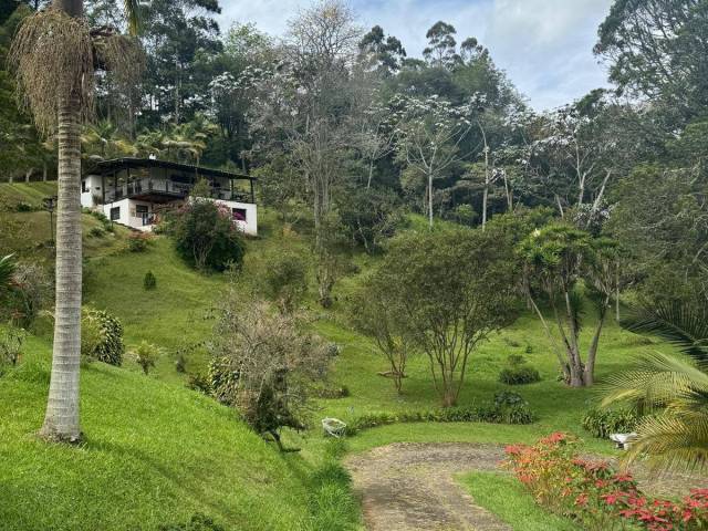 Finca para Venta en Rionegro - 5