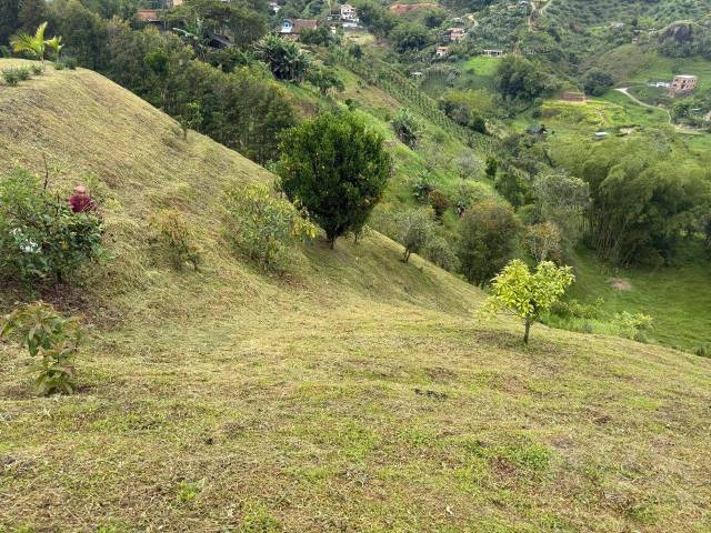 #5136 - Terreno para Venta en Peñol - ANT - 2