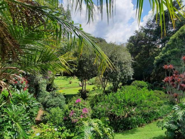 Casa para Venta en Rionegro - 5