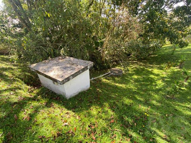 Finca para Venta en La Ceja - 4