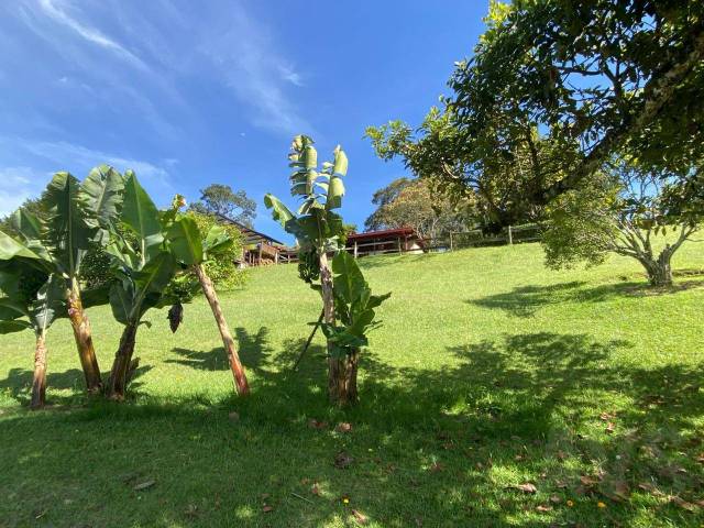 #5143 - Finca para Venta en La Ceja - ANT - 3
