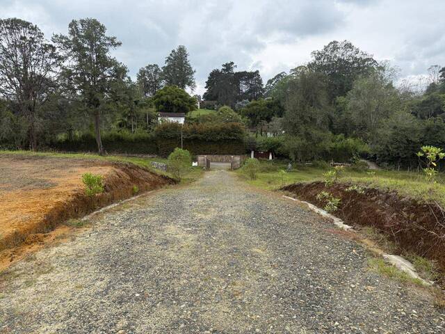 Terreno para Venta en Rionegro - 5