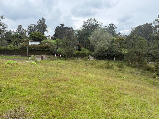 #5149 - Terreno para Venta en Rionegro - ANT - 3