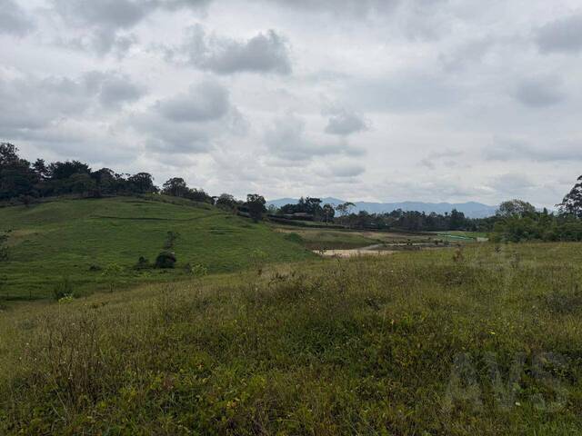 #5149 - Terreno para Venta en Rionegro - ANT - 2