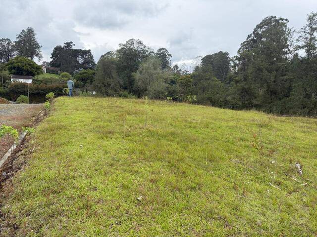 Terreno para Venta en Rionegro - 4