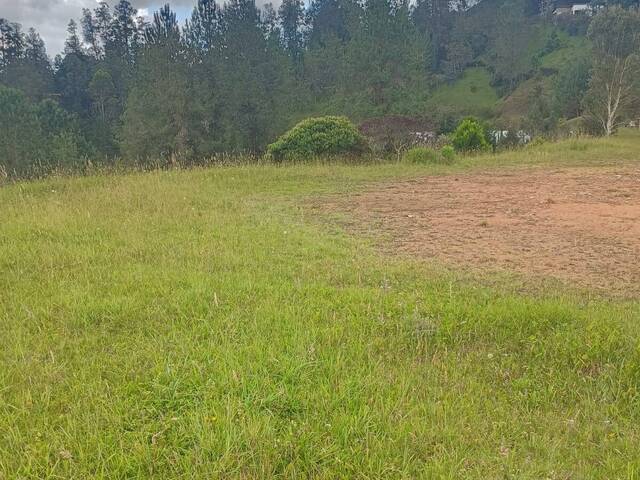 #5153 - Industrial para Venta en Retiro - ANT - 3