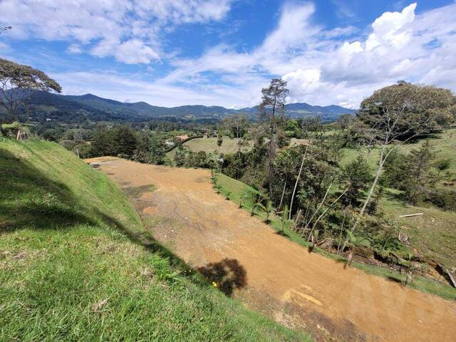 #5159 - Industrial para Venta en La Ceja - ANT - 2