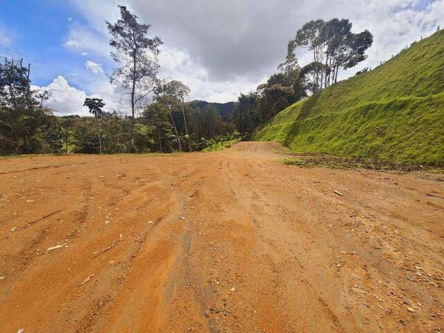 #5159 - Industrial para Venta en La Ceja - ANT - 3