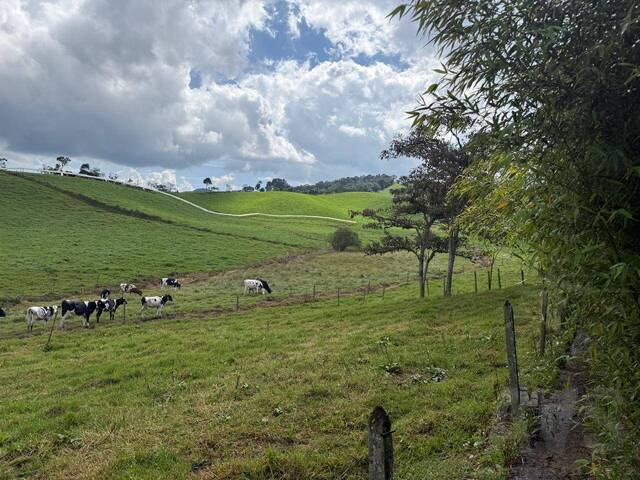 #5158 - Finca para Venta en La Unión - ANT - 2