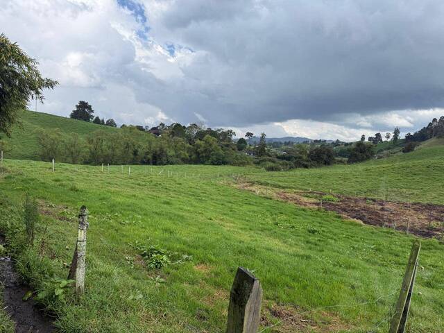 Finca para Venta en La Unión - 4