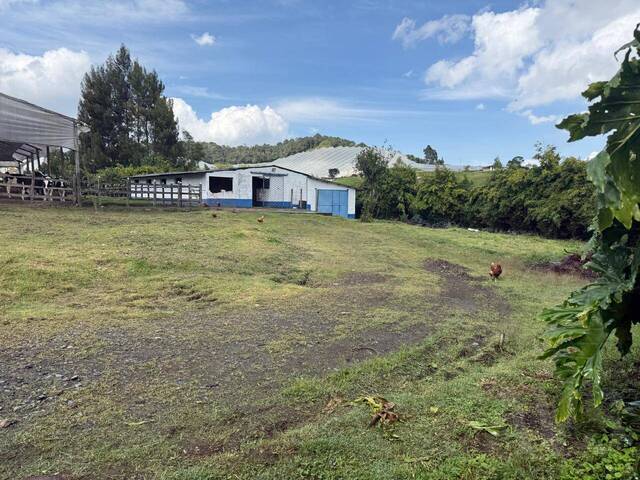 Finca para Venta en La Unión - 5