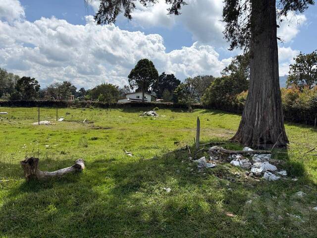 #5166 - Terreno para Venta en Rionegro - ANT - 1