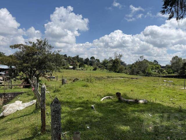 #5166 - Terreno para Venta en Rionegro - ANT - 3