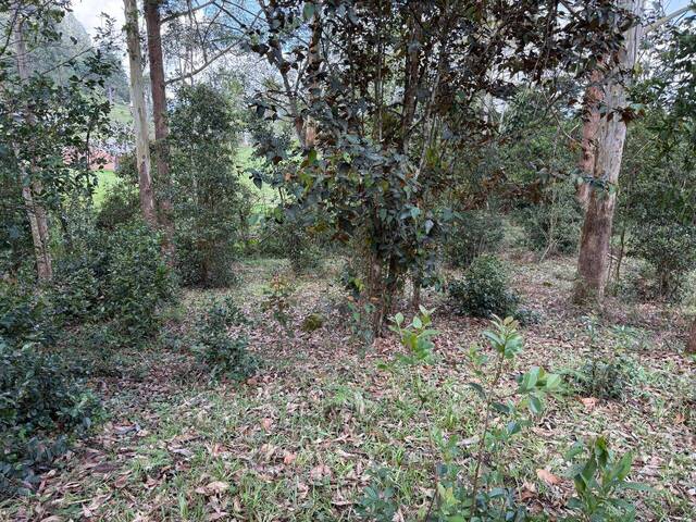 Terreno para Venta en Rionegro - 5