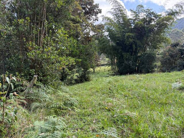 #5165 - Terreno para Venta en Rionegro - ANT - 2