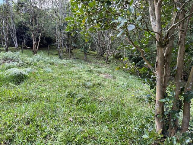 #5165 - Terreno para Venta en Rionegro - ANT - 1