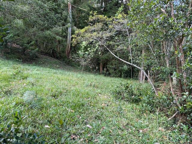 #5165 - Terreno para Venta en Rionegro - ANT - 3