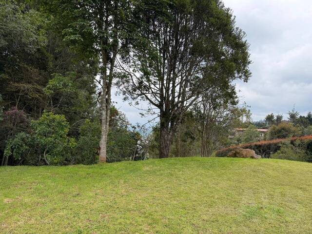 #5173 - Terreno para Venta en Envigado - ANT - 3
