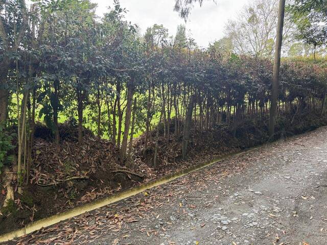 Terreno para Venta en Retiro - 5