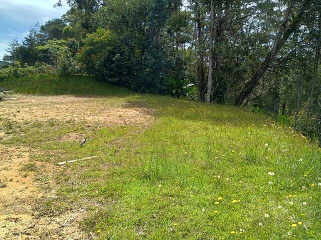 Terreno para Venta en Retiro - 5