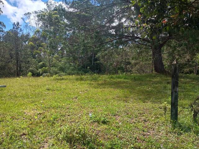 Terreno para Venta en Rionegro - 3