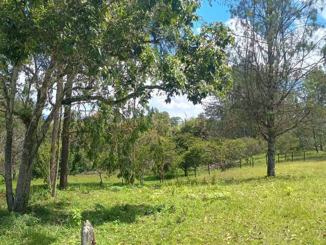 Terreno para Venta en Rionegro - 4