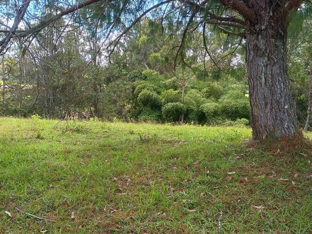 Terreno para Venta en Rionegro - 5