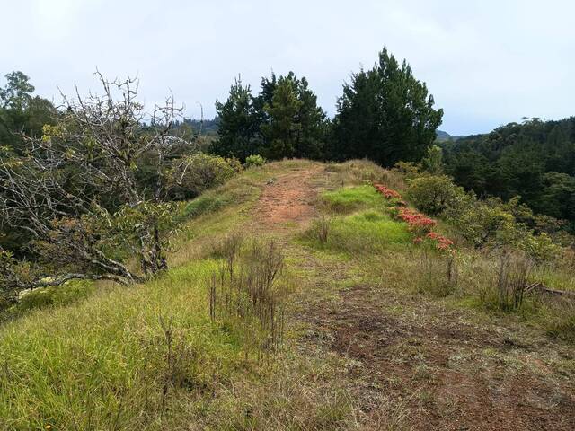 #5205 - Terreno para Venta en Retiro - ANT - 2